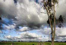 热火队新秀球员崭露头角，为球队注入新鲜活力