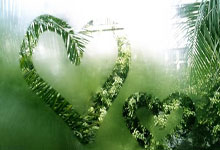 巴西锋线冷放不急再打传球，对手绝境反击