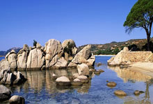 阿森纳主场大胜诺里奇，继续保持领跑